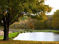 Fall '05 - 2